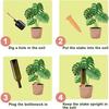 Screws-Shaped Plant Watering Stakes Natural Clay Terracotta Watering Device  Office