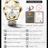 OUPINKE Montre Homme Double Calendrier Montre Mécanique Automatique Montre Diamant Haut De Gamme Étanche