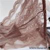 Ultra-Thin Lace Low-Rise Transparent Panties for Women with Pure Cotton Crotch and Butt-Lifting Design