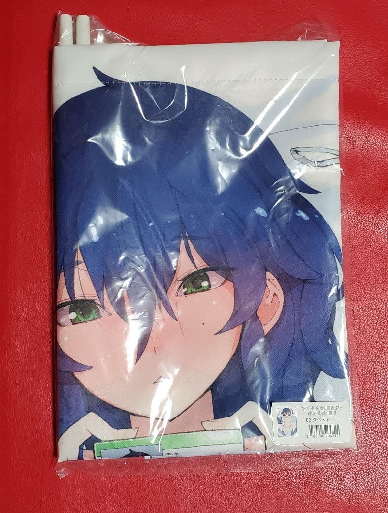 

[USED] Sahoko Quest ~Introverted Girls 1 Melon Books Bonus Tapestry