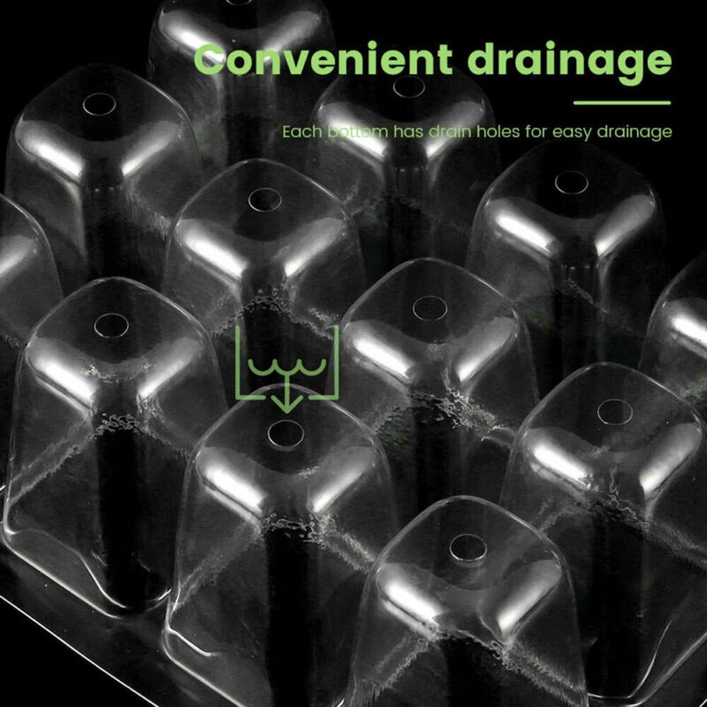 Propagation Nursery Pots Tomatoes Compartments Courtyard Farm