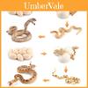 Pvc Snake Growth Cycle Model For Kids Educational Animal Toy Display Piece