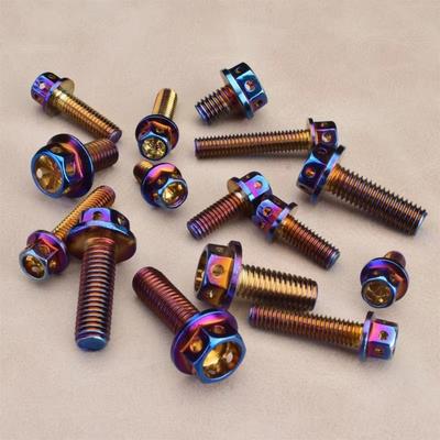 M6 M8 Titanium Bolt 10/15/20/25/30/35/40/45/50/60 Hex Head Bolts Hex Head Screws  Motorcycle