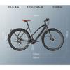 Electric Vehicle - FAFREES - F700M - 36V10Ah - 100 Km Range - 250W Rear Motor