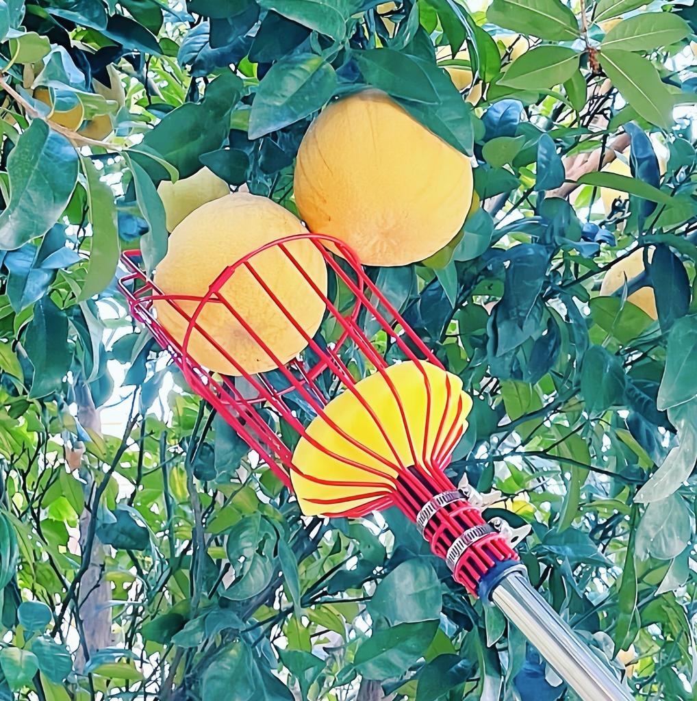 Fruit Picker Fruit Picking Artifact High-Altitude Picking Tool High-Altitude Fruit Picker Fruit Picking Tool