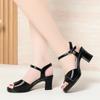 Waterproof Platform High Heel Sandals Women Versatile Thick Heel Thick Sole Fish Mouth Shoes Middle-Aged Women's Summer Shoes