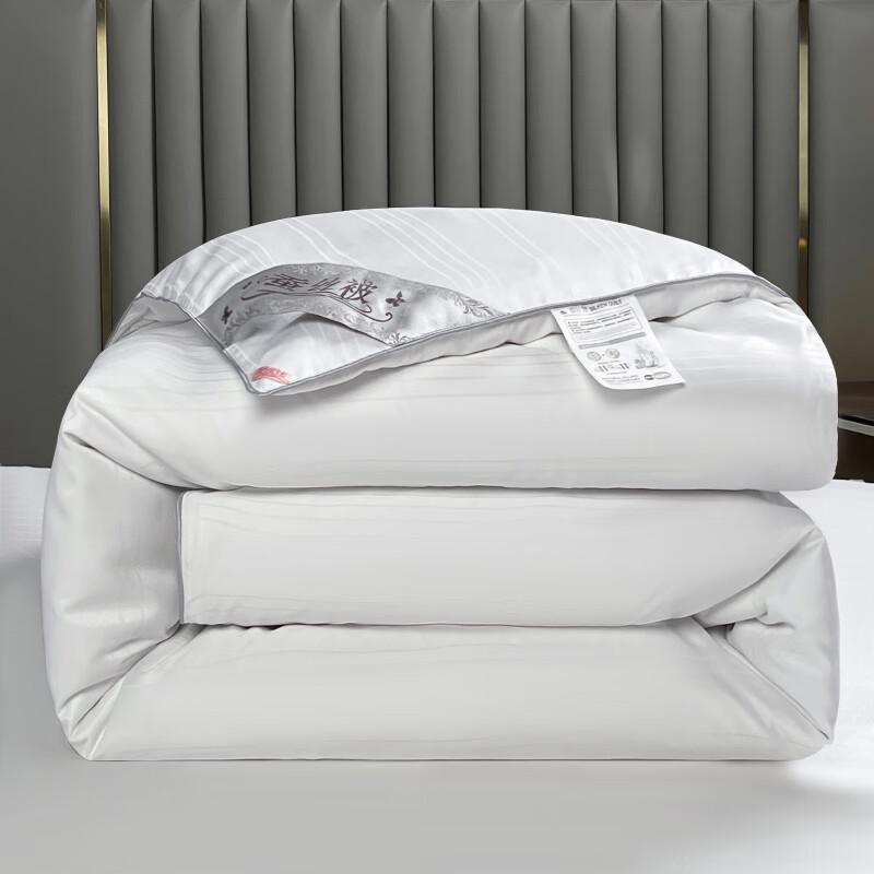 Luoxinu Luxury Tussah Silk & Soy Blend Quilt