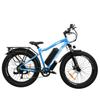 BAOLUJIE DP-2619 Speichenrad Erwachsenen Elektrofahrrad 750W Motor 48V13AH Batterie 26*4 Zoll Fat Tire E-Bike Mountain Offroad Elektrofahrrad