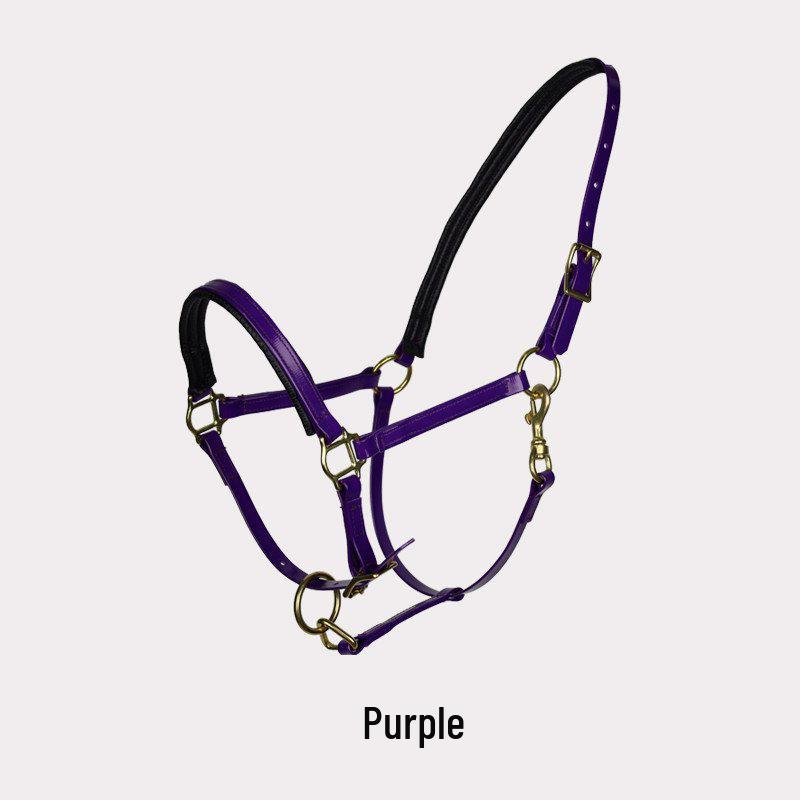 TPU Adjustable Durable Horse Halter and Leading Equipment