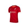 Nike Fußballtrikots Herren Rot Moderat DB2533-688