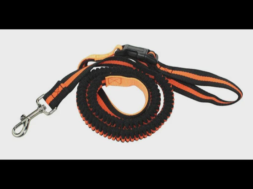 Reflective Waterproof Pet Running Waist Bag with Leash