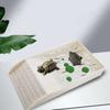 Smooth Tortoise Feeder Burr-free Turtle Feeding Basin Reptile Water Bowl  Snake