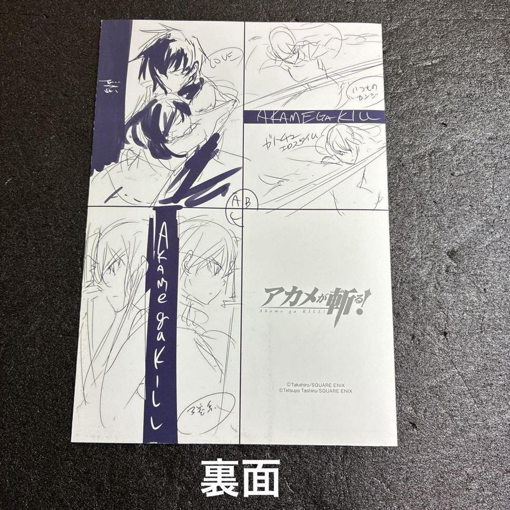 [USED] Akame ga Kill! Toranoana Purchase Bonus 4-page Rough Art Book Rare Esdeath