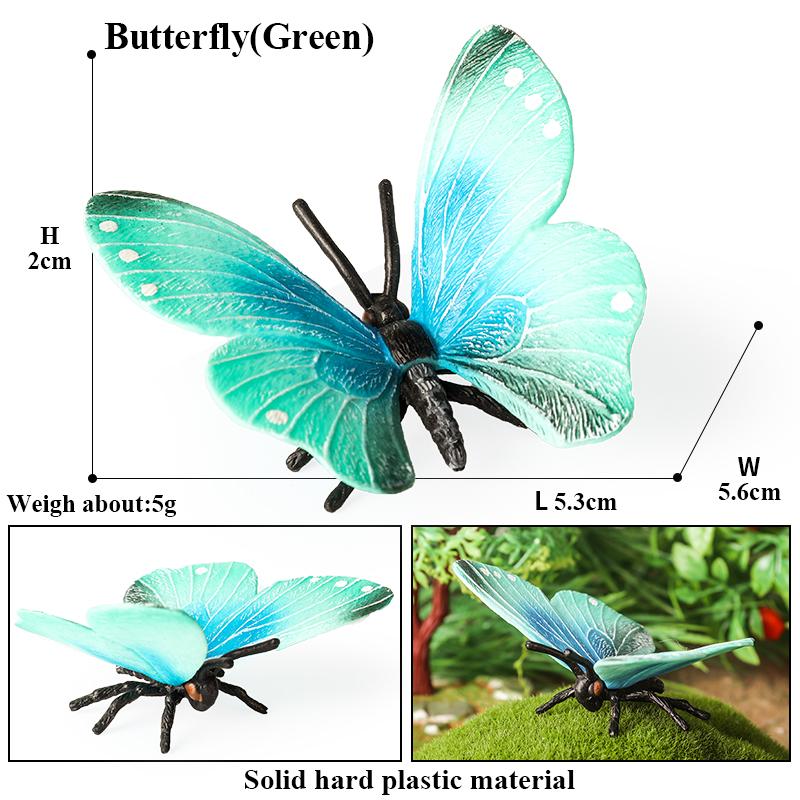 Oenux Insect Animals Model Monarch Actias Ningpoana Swallowtail Butterfly Growth Cycle Garden Figurine Education Kid Toy Gift