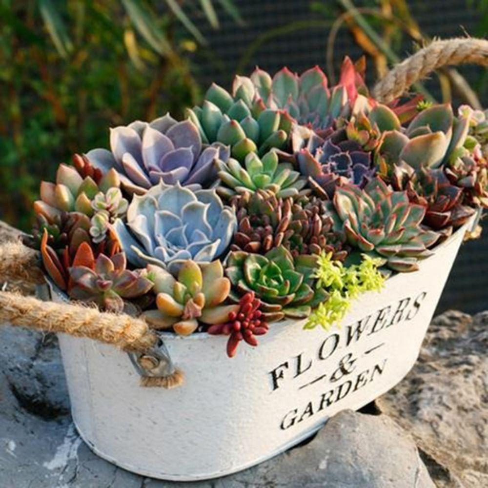 Holzgriff Retro Blumenvase Rustikaler Holzblumenkübel Ovales Eisen Blumentopf Sukkulenten Pflanzen
