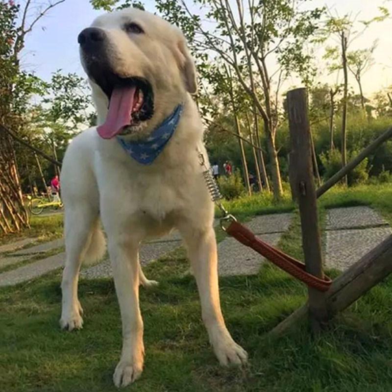 Dog Leash Spring Short Dogs Leash PU Leather Leashes for Large Dogs Walking Nylon Rope Durable Dog Leashes Training Pet Chain