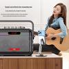 Aigo T189 Portable Bluetooth Karaoke Speaker
