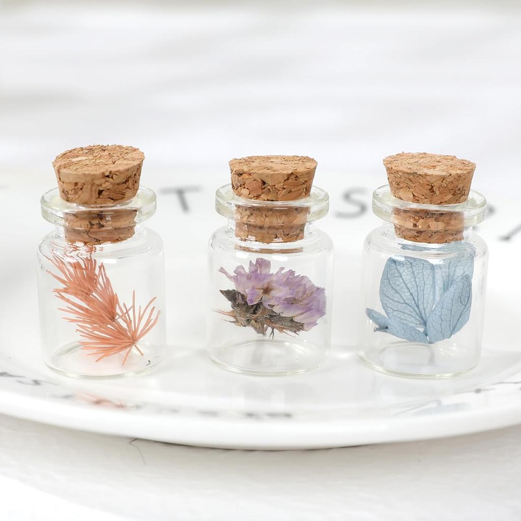 5/100pcs Small Glass Bottles with Cork Stoppers DIY Decoration Mini Glass Vials Cork Message Glass Vial Wishing Bottles