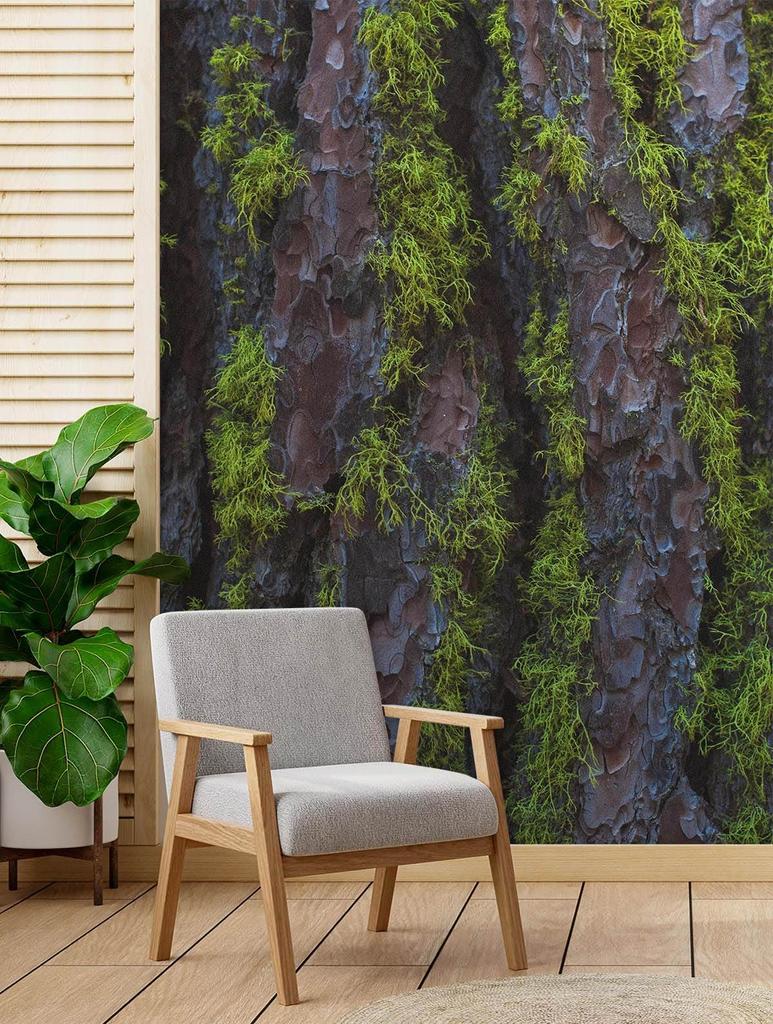Wallpaper Wood Bark Texture