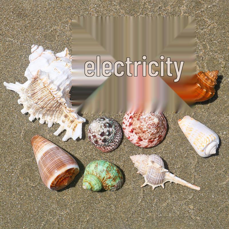 Handmade Natural Seashell Conch & Starfish Frame for DIY Fish Tank or Landscaping