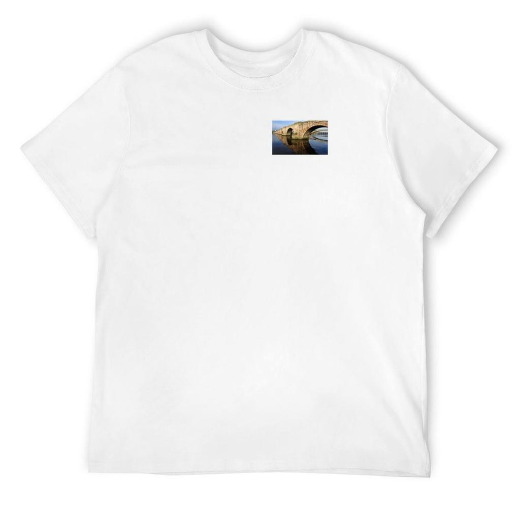 The Three Bridges T-Shirt Anime Clothes Boys Animal Print Plain T Shirts Men