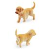 Dog Figurines Playset Hand Painted Plastic Dog Realistic Detailed Puppy Figures
