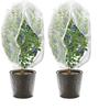 Thickened Agricultural Insect & Bird Proof Net for Greenhouses & Fruit Trees