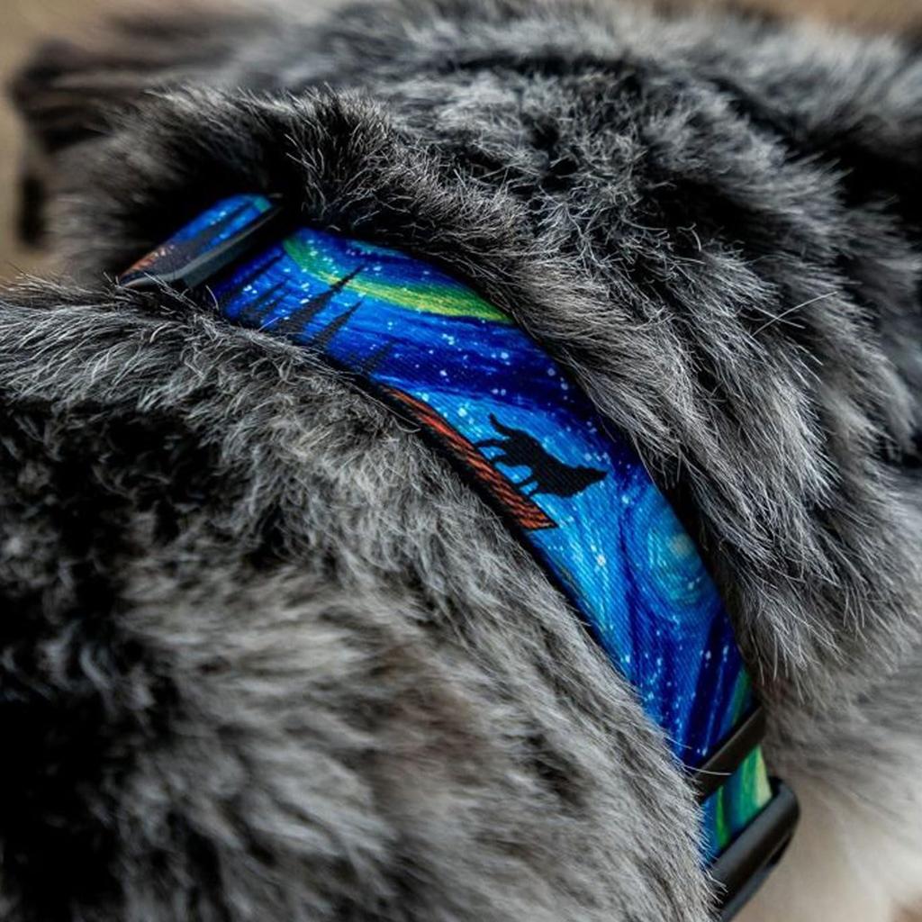 WOLFGANG MountainVibes MARTINGALE Half Choke Wide x Neck Circumference Large Collar, Large, 2.5cm 45-55cm [For Dogs]
