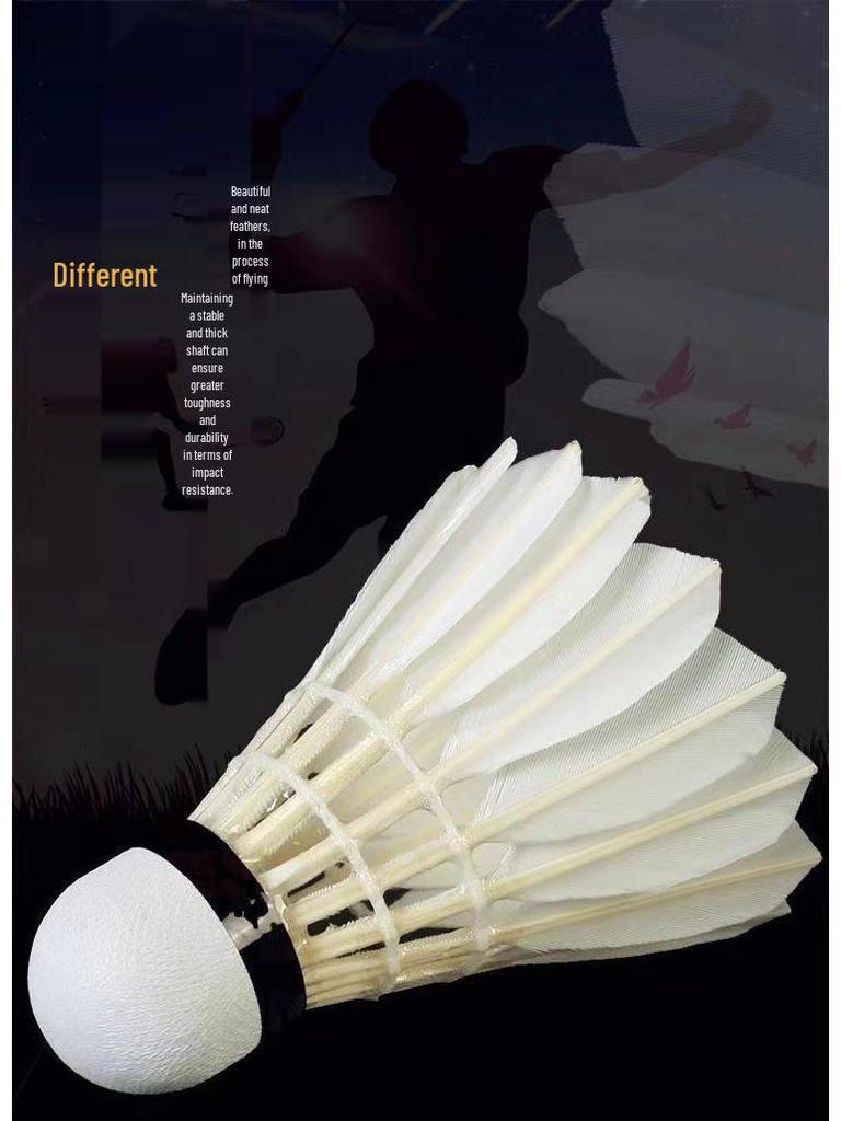 Yalion Durable Youth Badminton Set - Professional Training Pack