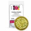 Fasola Mung 50g - nasiona na kiełki kiełkownica