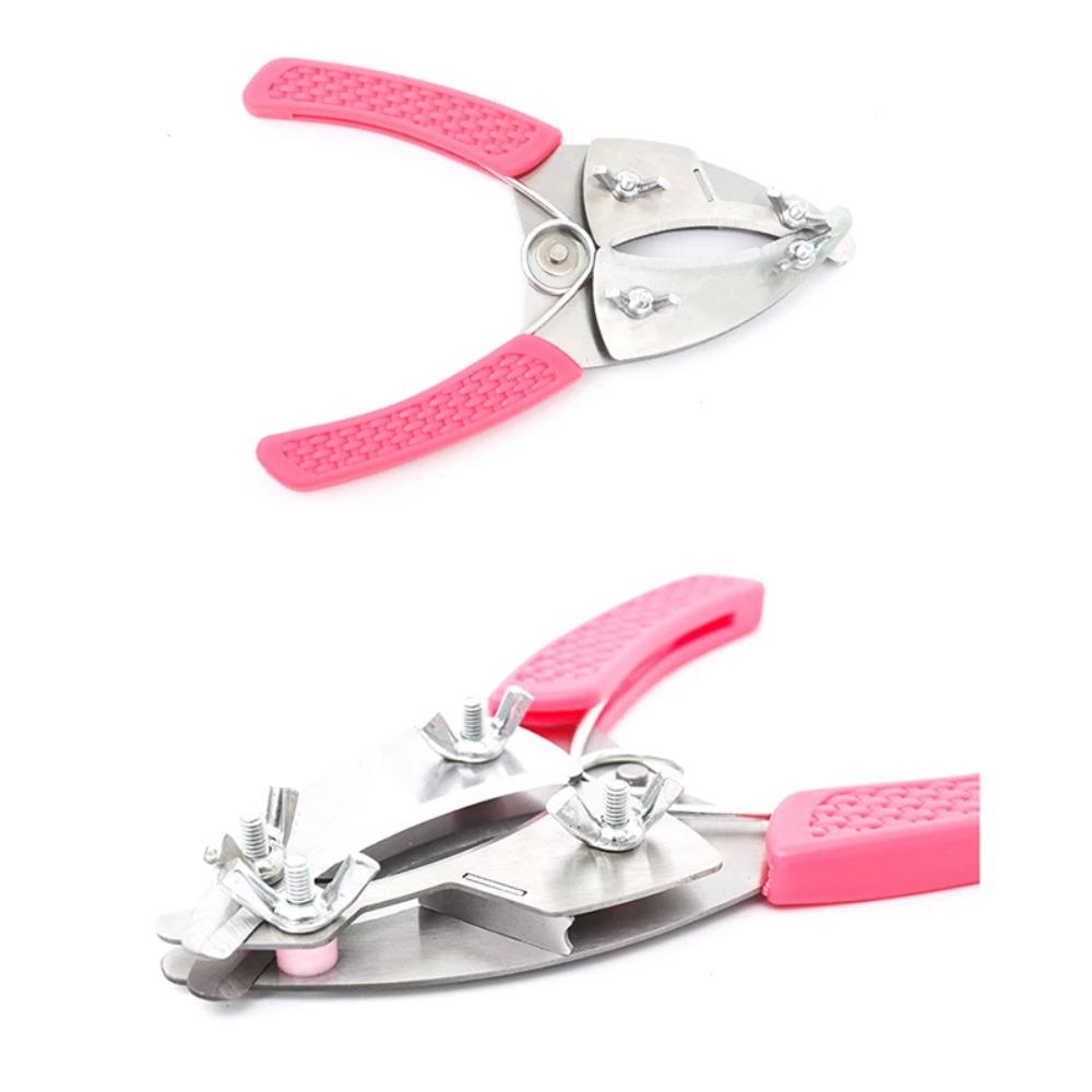 Plant Trim Horticulture Pruner Cut Secateur Shrub Garden Scissor Tool Branch Peeling Shear Orchard Pruning Shear Folding Saw Set