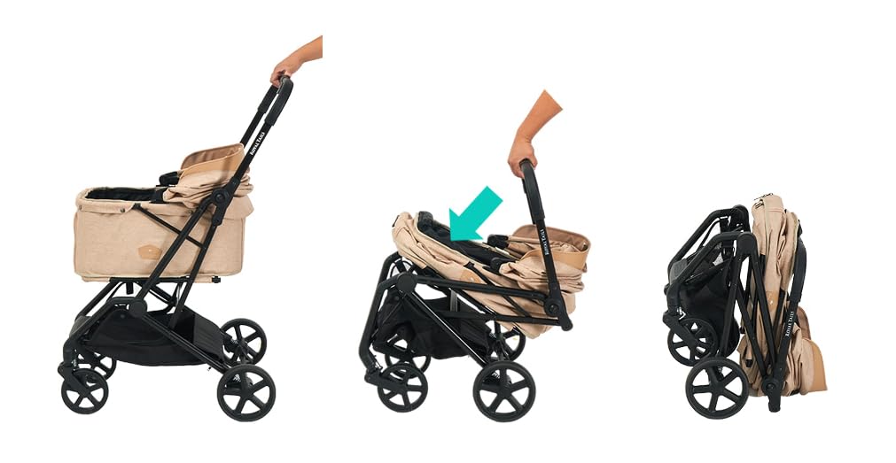 Royal Tails Haustier Elfenbein Florenz, Wagen,