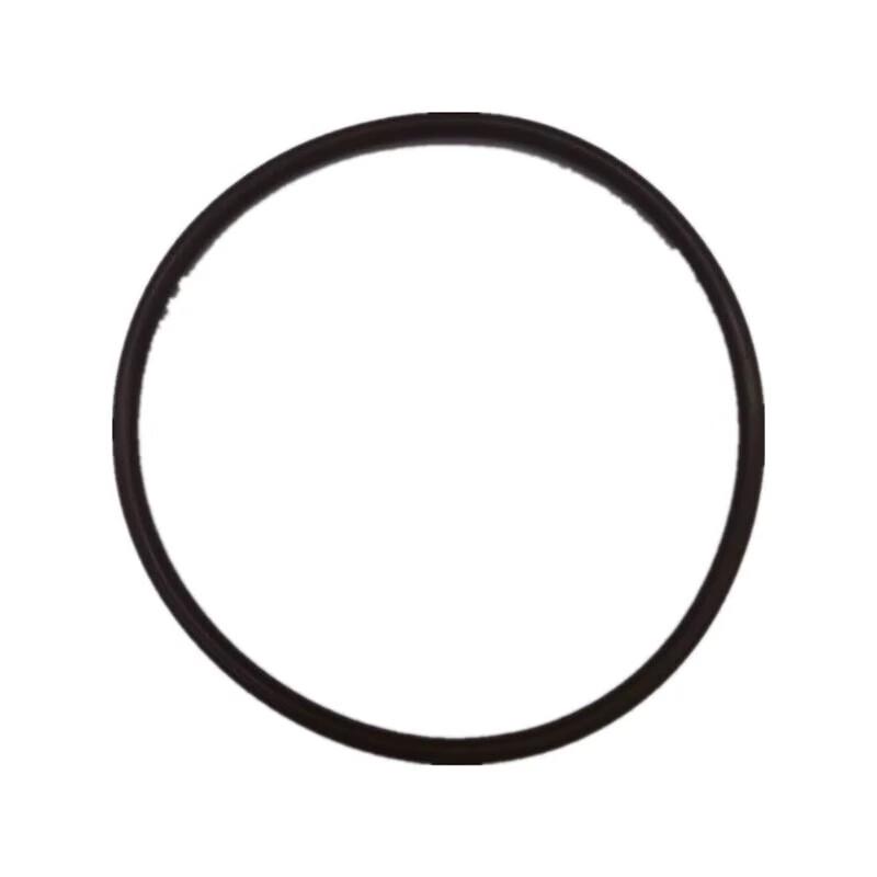Plastic O-Ring Seal