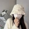 New Basin Hat Women's Autumn and Winter Versatile Lamb Wool Warm Bucket Hat Fashionable and Cute Plush Lion Hat