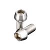 G Craft 38075 Tapered Bolts, M6 X 0.4 Inches (10 Mm), Stainless Steel, Set of 2