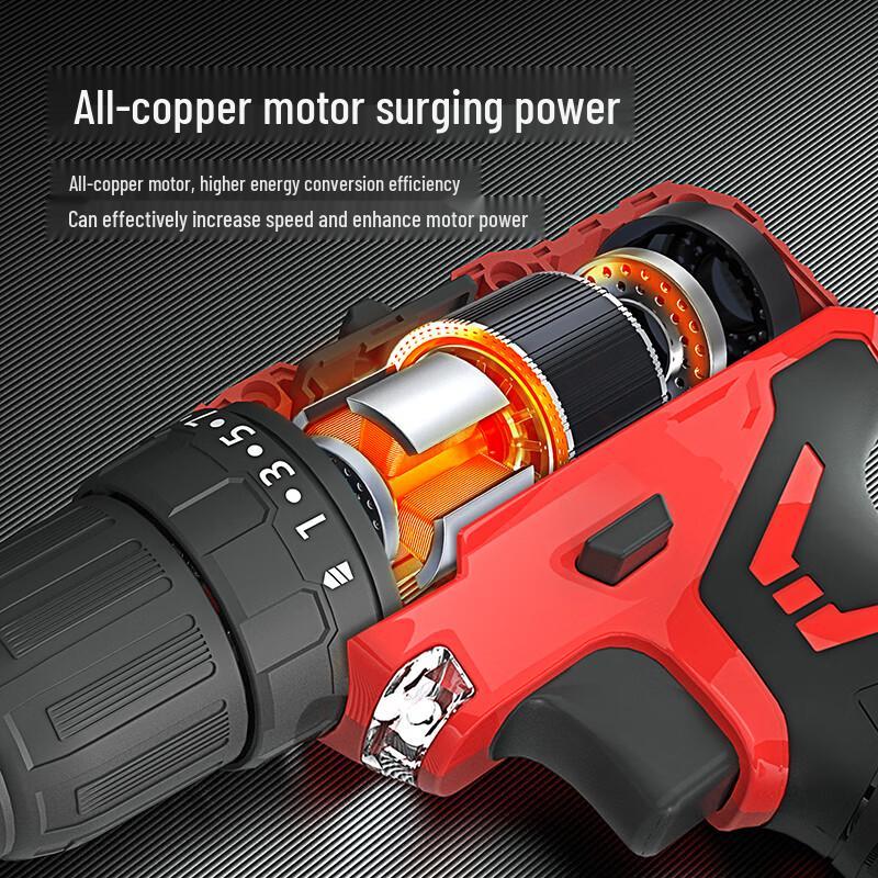 Delixi Electric 12V Cordless Lithium-ion Drill CN plug (adapter included)