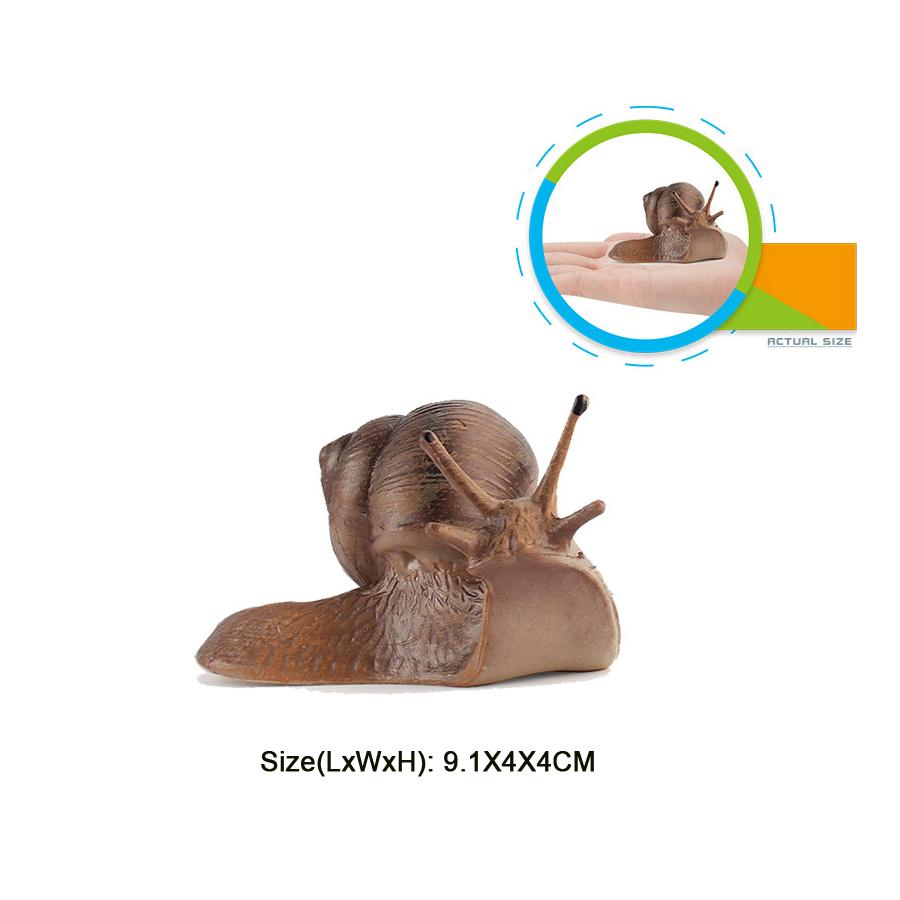 Realistic Life Cycle Of A Snail Model Figure Snail Figurine Party Favors Supplies Cake Toppers Desktop Decoration Collection Toy