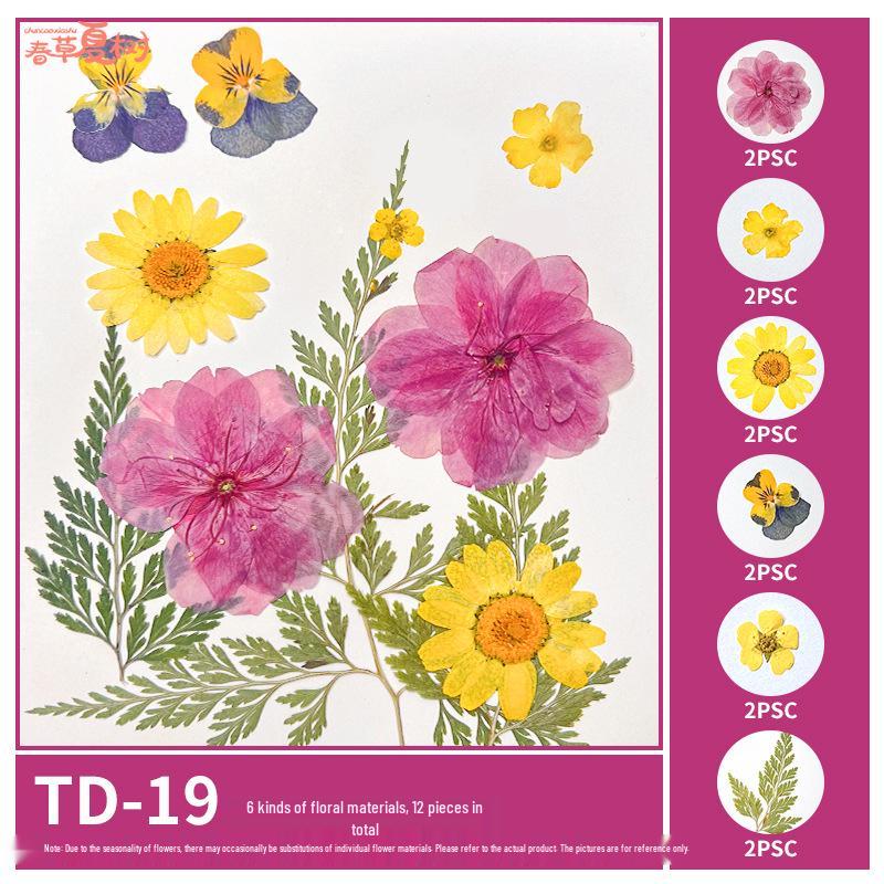 Handmade Pressed Flower Bookmark and Epoxy Sticker Pack with Real Leaf and Plant Specimens for DIY Face Makeup.
