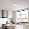 Smart Rgb Rainbow Music Rhythm Speaker Led Ceiling Fan with Dimmable Light  Remote Control 3 Speeds Timer