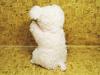 Hand Puppet Pig 253-0160