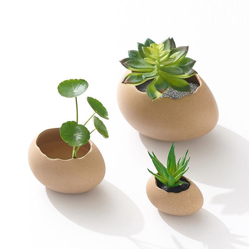 Eggshell Hydroponic Indoor Flower Pot Ceramic Water Culture Vase Art Deco Design for Home Decor Set of Plant Container