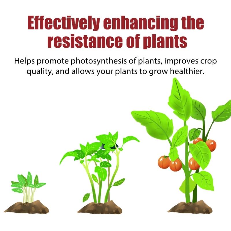 Gardening Slow Release Tablets Organic Fertilizers Plant Flowers Potassium Slow Release Agent Fertilizers for Garden