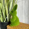 6.69inch Standing Moss Rabbit, Easter Garden Decoration, Indoor Potted Plant Decor, Moss Rabbit Ornament, Tabletop