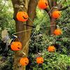 Yousheng Ferris Wheel Hummingbird Feeder Squirrel Proof Spinning Bird Feeder with 8 Pumpkin Skull Buckets for Outdoor Yard Decor