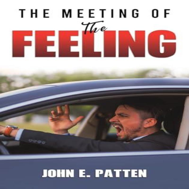 The Meeting of the Feeling by John E. Patten Hardback Book 9781528993821