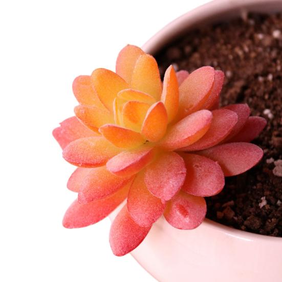 Mini Künstliche Sukkulenten Realistische Fake Kleine Kakteen Pflanzen Bunte Kunststoffe Beflockte Topflose Pflanzen für Garten Blumentopf Küche Heimdeko