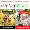 20-100pcs Grapes Fruit Grow Bags Netting Mesh Strawberry  Vegetable Plant Protection Bags For Pest Control Anti-Bird Garden Tools