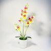 Potted Plant Phalaenopsis Ornament For Office Desk And Living Room Decor