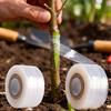 Nastro Adesivo Forte per Innesto Alberi da Frutto, Rotolo da 705,38 piedi - Pellicola Estensibile e Autoadesiva per Protezione e Avvolgimento Piante