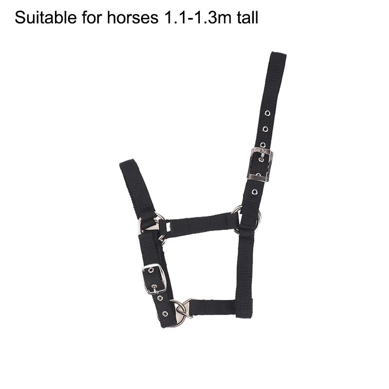 

Adjustable Nylon Webbing Equestrian Western Horse Halter Horse Riding Wear Black Xs S M L Xl Ergonomic Comfortable Halters S